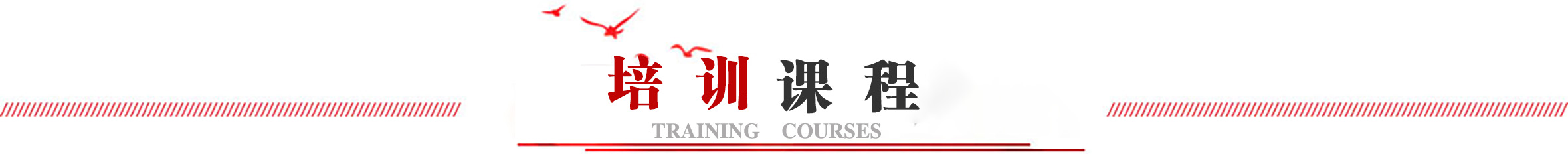 培訓(xùn)課程